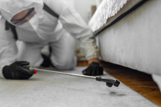 Professional Bed Bug Control technician working in Charles City, IA