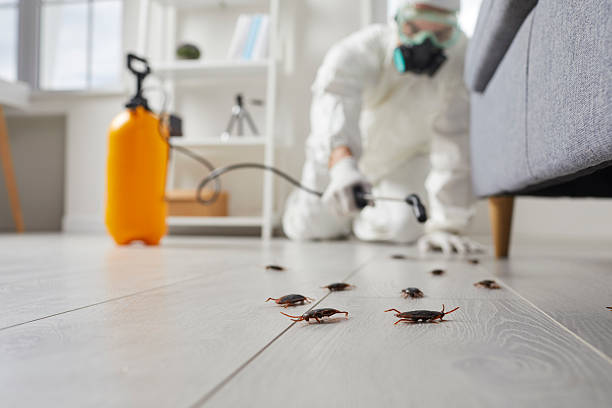Trusted Termite Control service in Charles City, IA - Nex Pest Control
