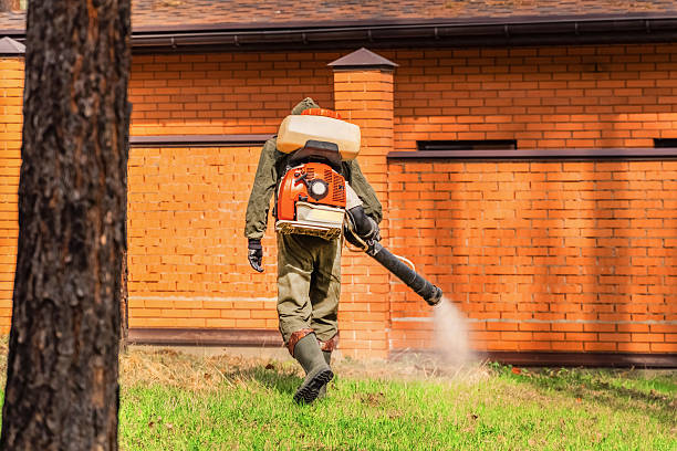 Trusted Rodent Control service in Charles City, IA - Nex Pest Control